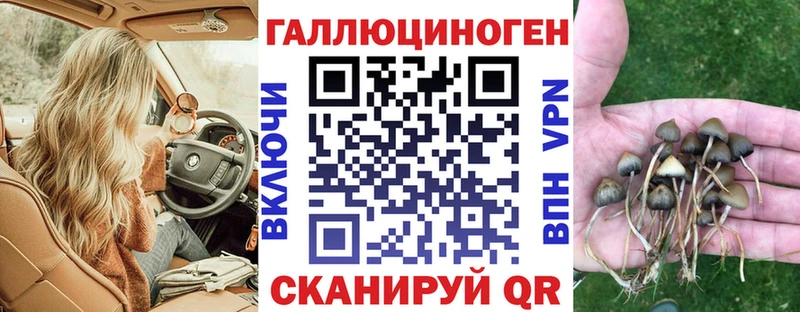 где продают наркотики  Челябинск  Псилоцибиновые грибы мухоморы 